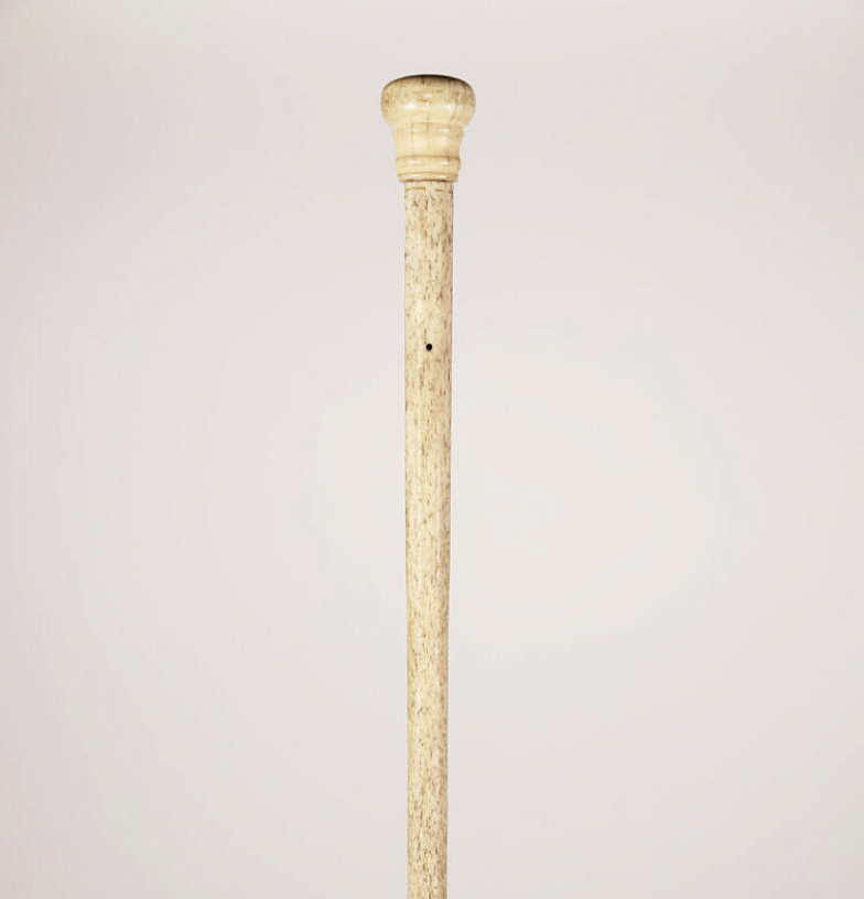 The Three Whalebone Canes